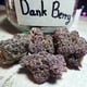 Dankberry