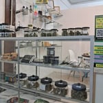 Million Buds Dispensary