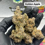 Golden Apple