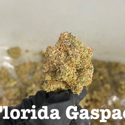 Florida gaspack