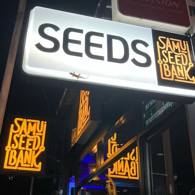 samui seed bank product image