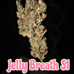 Jelly Breath S1