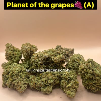 Planet of the grapes AUTO