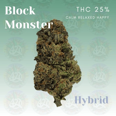 Block Monster 