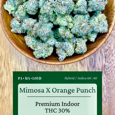 Mimosa x orange punch