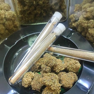 ร้านกัญชาใกล้ฉัน NIGHTHOWIT420 product image