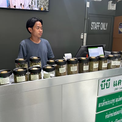 กัญชาศาลายา @ซอยตั้งสิน BB Cannabis 24hr. 大麻 product image