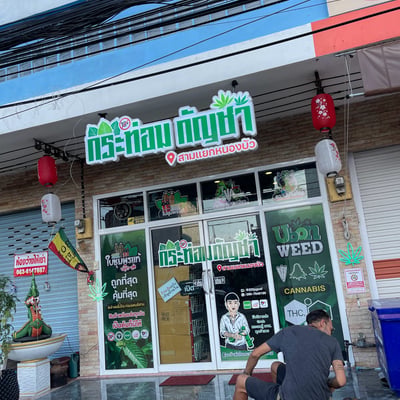 กระท่อมกัญชา - สามแยกหนองบัว product image