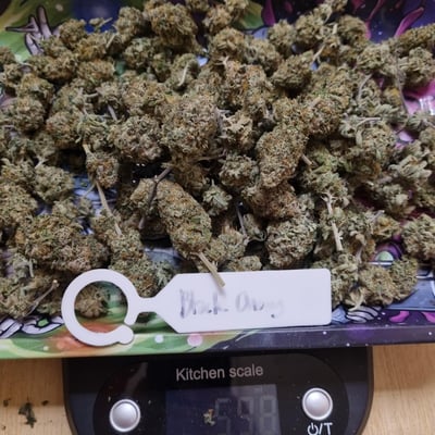 ร้านกัญชาใกล้ฉัน NIGHTHOWIT420 product image