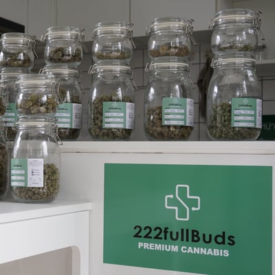 222fullBuds product image