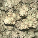 orange cherry