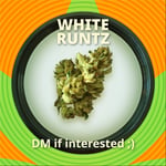 White Runtz