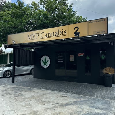 MVP Cannabis 2
