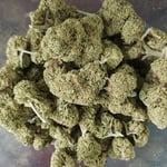 Rollingland Cannabis