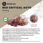 Romb 420 Cannabis store & cafe