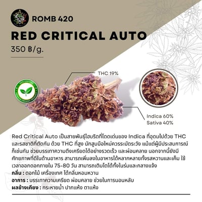 Romb 420 Cannabis store & cafe product image
