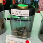 NYC Diesel - Sativa with THC 26%