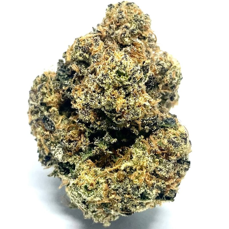 Dirty Kush Breath Cannabis Flower at Gravity - Grow Shop