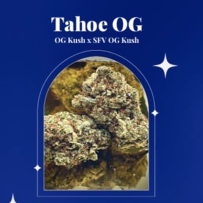 Tahoe OG