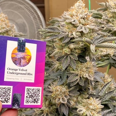 WeedboyFarm product image