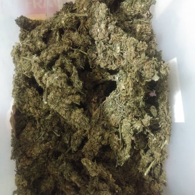 ร้านกัญชา เพื่อนกัญ 420 สาขา2 (กัญชา) product image
