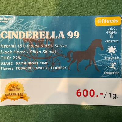 Cinderella 99