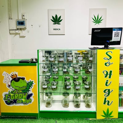 ร้านกัญชาขอนแก่น T-Grow X So High Shop product image