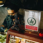 Stone.d Store - Cannabis Shop (ร้านขายกัญชา)