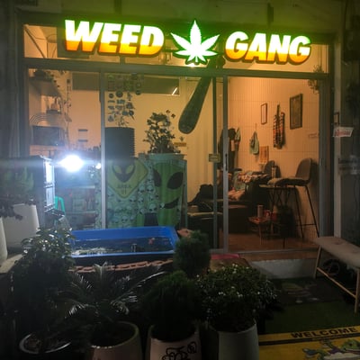 WEED GANG product image