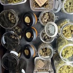 King Cannabis Jomtien - Weed/Ganja Dispensary