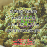 Area51 Cannabis Cafe