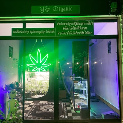 Yg Organic product image