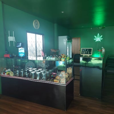 Green Garden Kata | Cannabis Dispensary Weed Shop product image