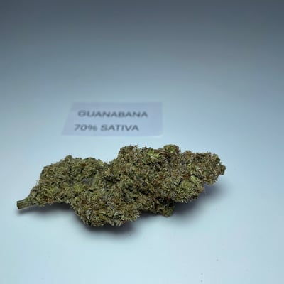 Guanabana 