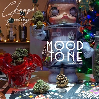 ร้านกัญชาใกล้ฉันmood&tone420 cannabis shop product image