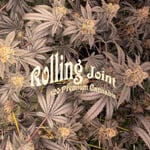 ROLLING JOINT OG.(Weed, marijuana,smokeCill