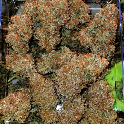 HUGHES BUD product image