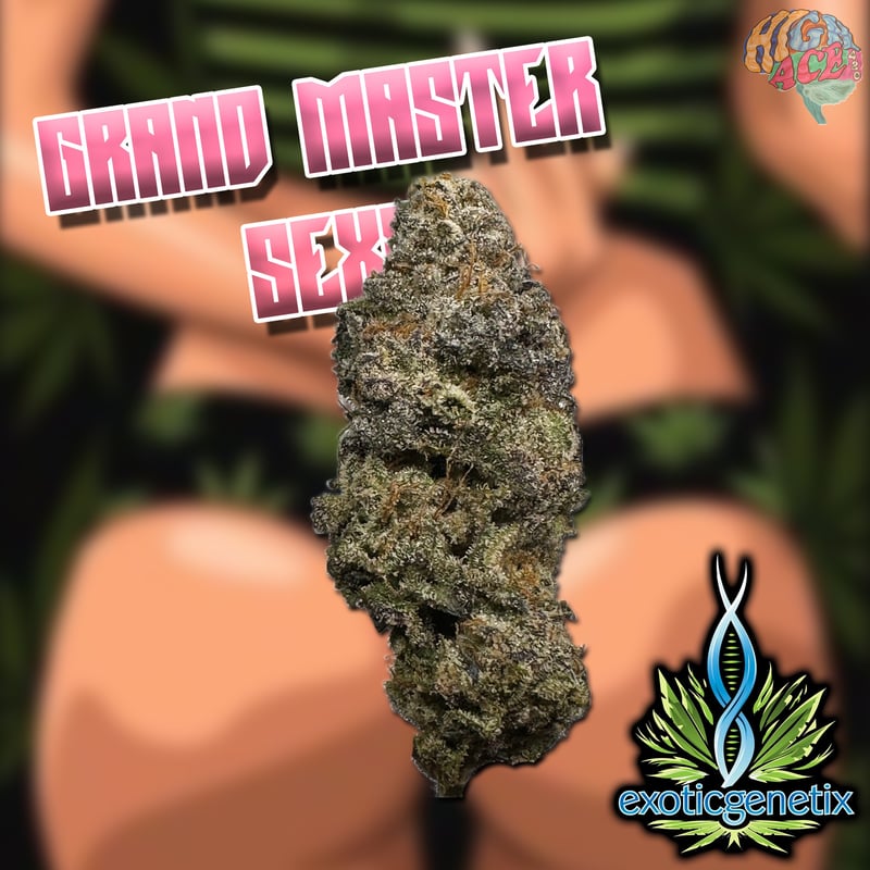 Grand Master Sexy – Exotic Genetix