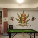 Cannabis Shop OG 98 (weed)