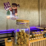 Cannabis by BusGrow