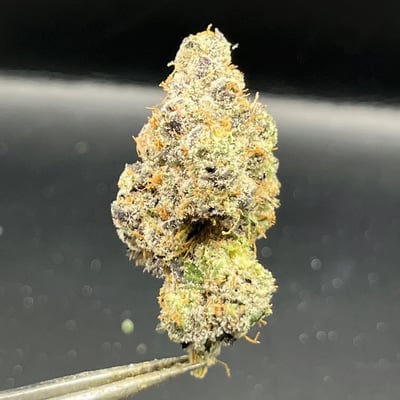 High Society Ko Phangan product image