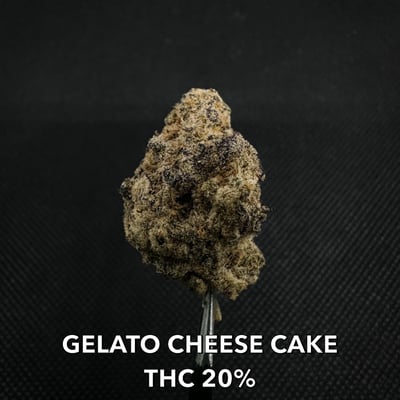 GELATO CHEESE CAKE