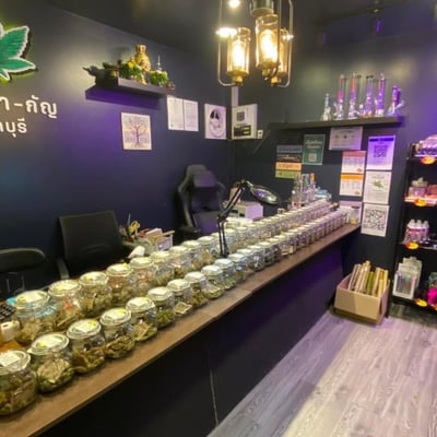 กัญชาจันทบุรี ร้านตามหากัญ จันทบุรี มี4สาขา product image