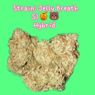jelly breath s1