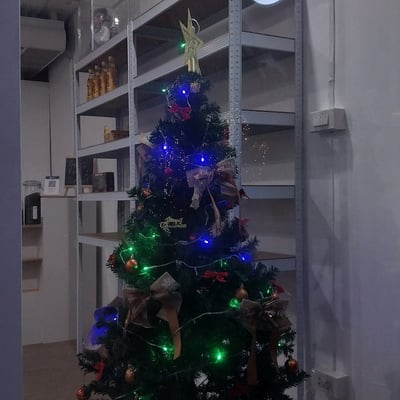 ร้านกัญชา mood&tone dispensary cannabis shop 大麻店 大麻ショップ × Sativa product image