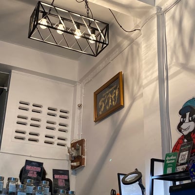 BACK YARD CANNABIS & COMMUNITY(ร้านขายกัญชาใกล้ฉัน) product image