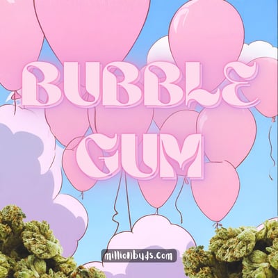 Bubble Gum