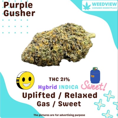 Purple Gusher