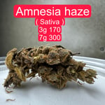 Amnesia haze