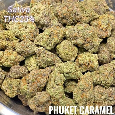 Phuket Caramel – Sativa – THC – 23% (Per Gram)